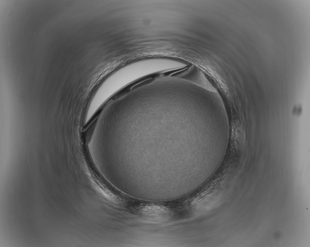 X0000097880397200803141324