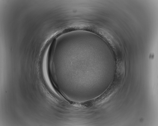 X0000097880399200803141324