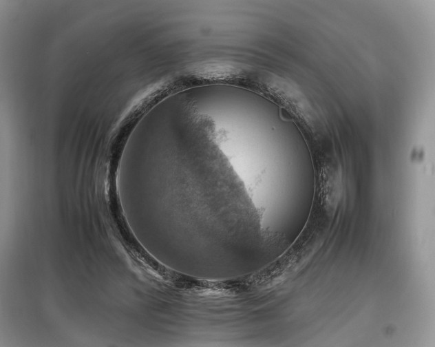 X0000097880400200803141324