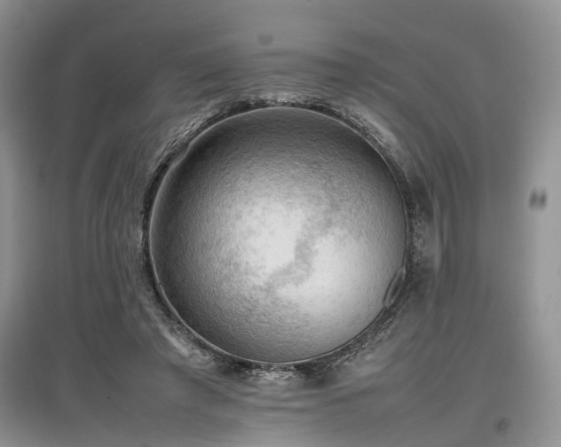 X0000097880401200803141324