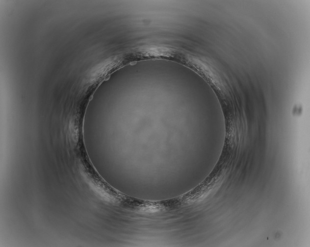 X0000097880402200803141324
