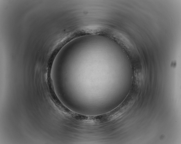 X0000097880404200803141324