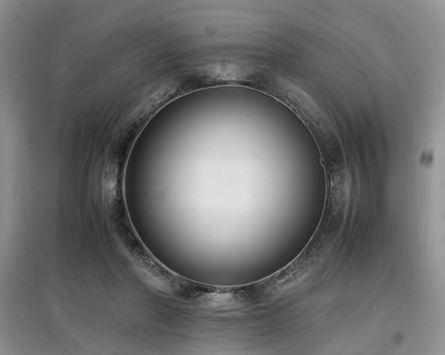 X0000097880406200803141324