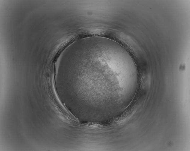 X0000097880407200803141324