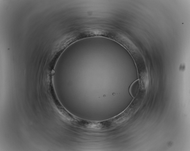 X0000097880410200803141324