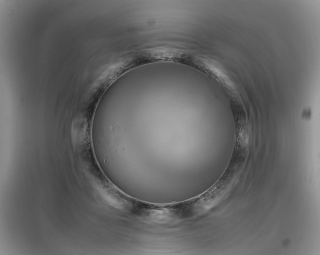 X0000097880411200803141324