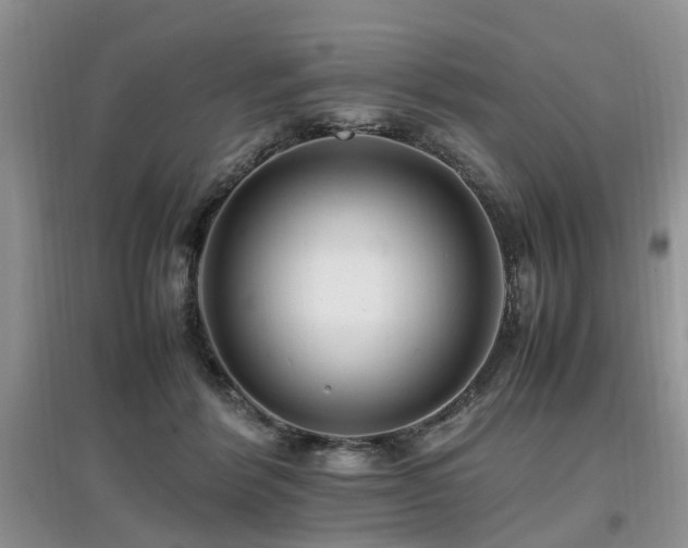 X0000097880412200803141324