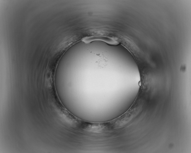 X0000097880414200803141324