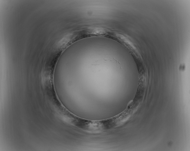 X0000097880415200803141324