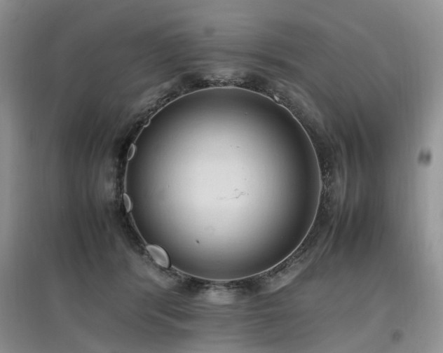 X0000097880416200803141324