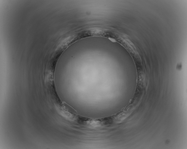 X0000097880419200803141324