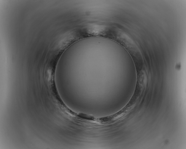 X0000097880420200803141324