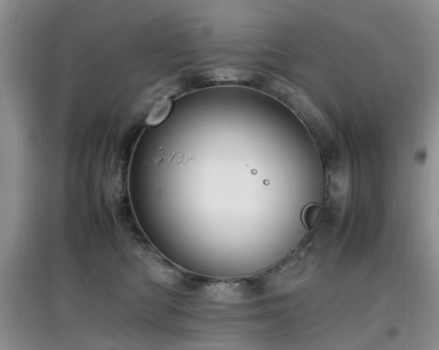 X0000097880422200803141324