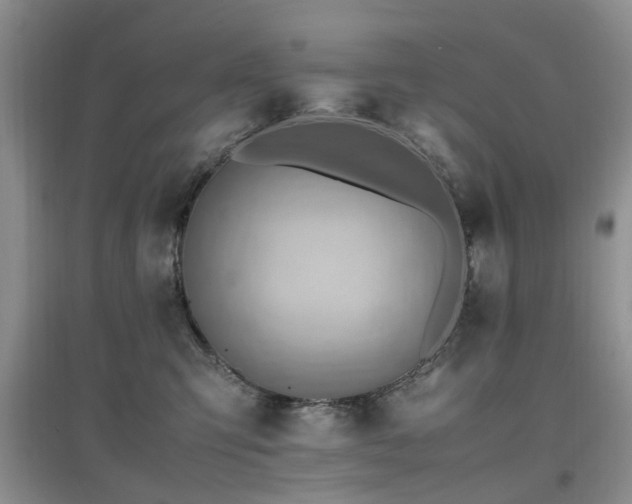 X0000097880423200803141324