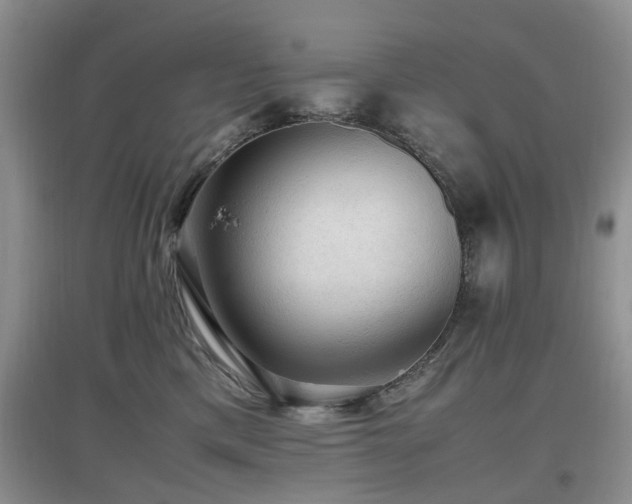 X0000097880425200803141324