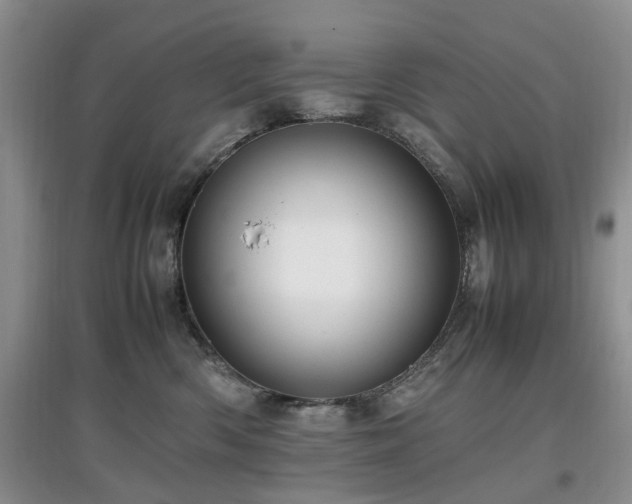 X0000097880426200803141324