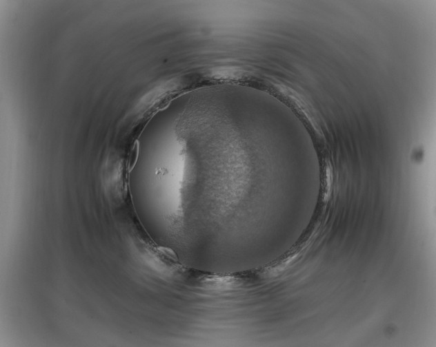X0000097880428200803141324