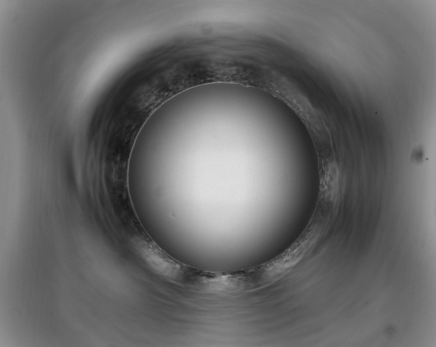 X0000097880430200803141324