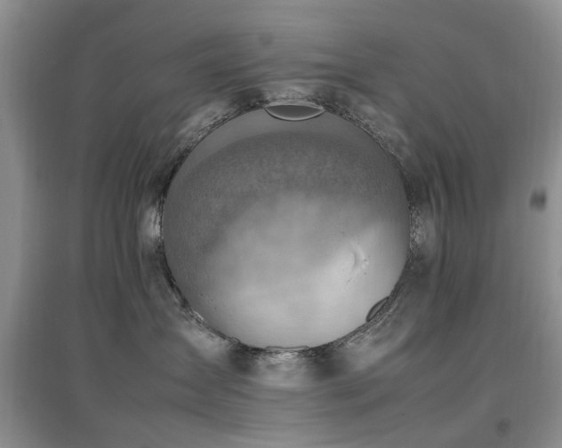 X0000097880431200803141324