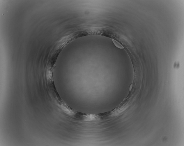 X0000097880432200803141324