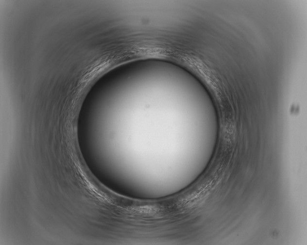 X0000097880433200803141323
