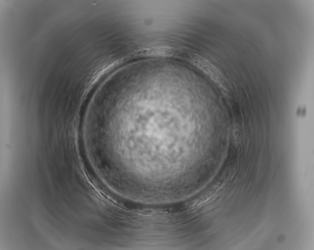 X0000097880434200803141323