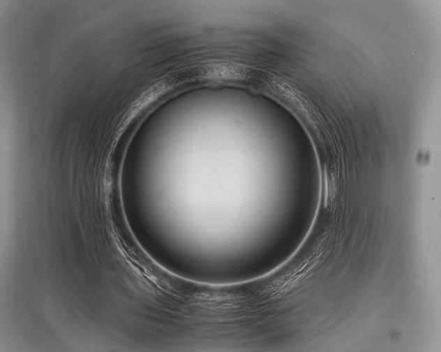 X0000097880435200803141323