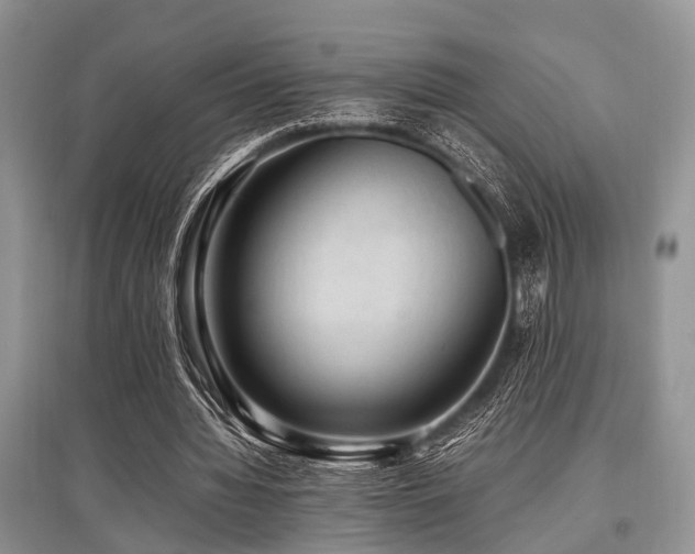 X0000097880436200803141323