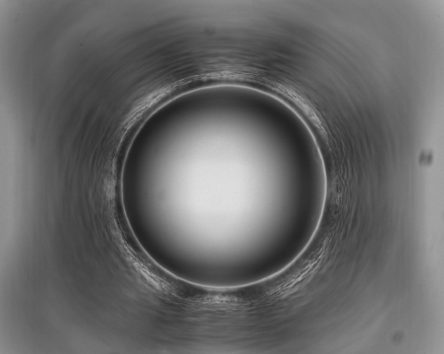 X0000097880437200803141323
