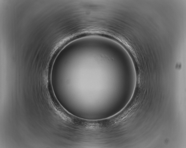 X0000097880438200803141323