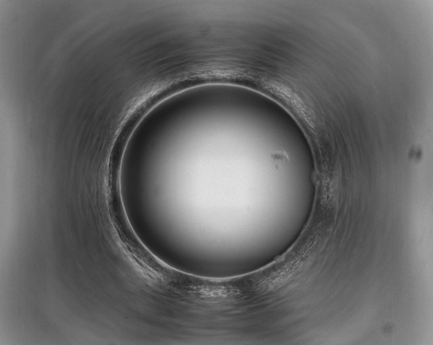 X0000097880439200803141323