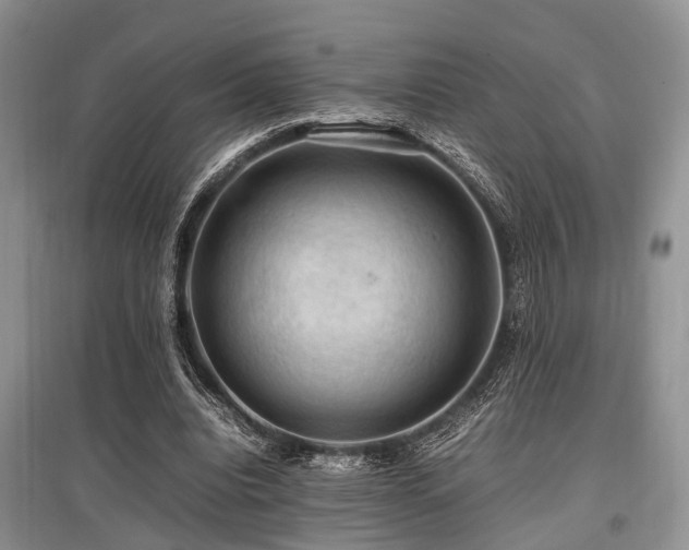 X0000097880440200803141323