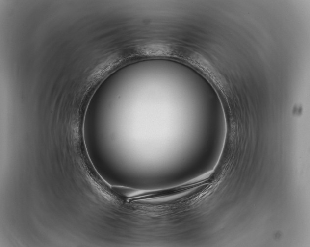X0000097880441200803141323