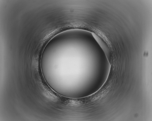 X0000097880442200803141323