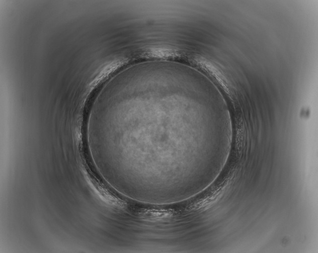 X0000097880443200803141323