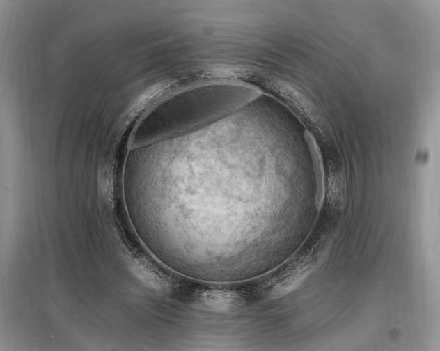 X0000097880444200803141323