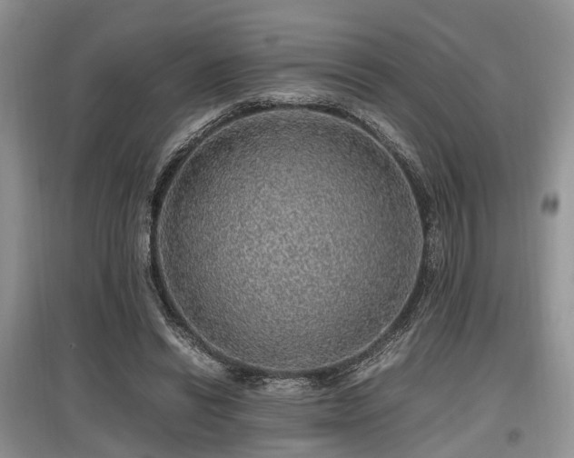 X0000097880446200803141323
