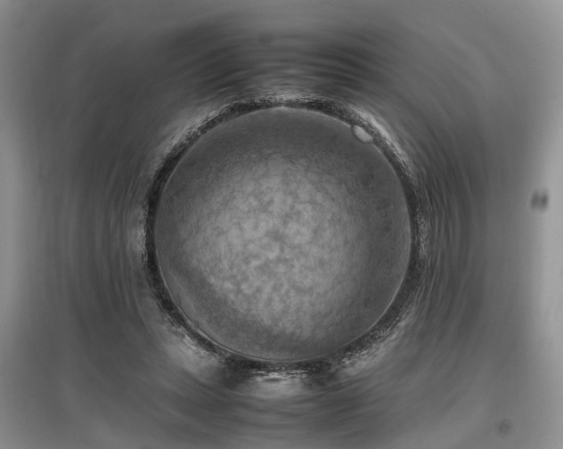 X0000097880447200803141323
