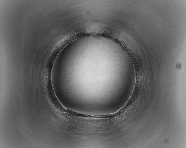 X0000097880448200803141323