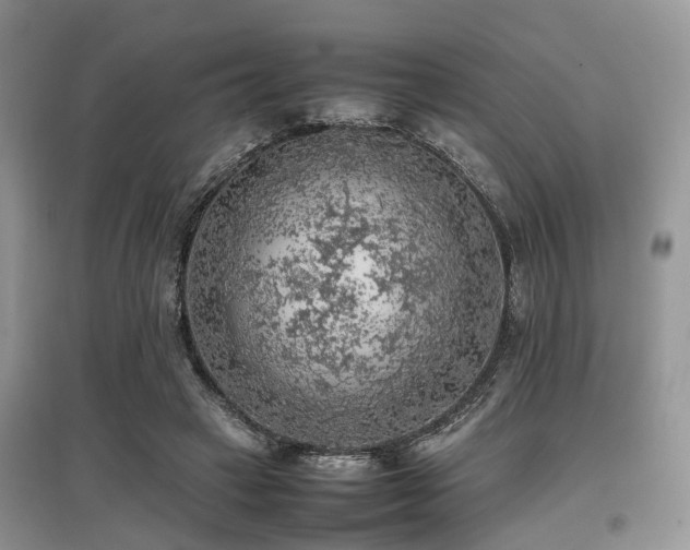 X0000097880449200803141323