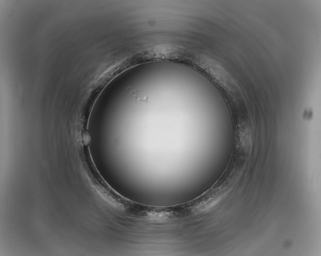 X0000097880450200803141323