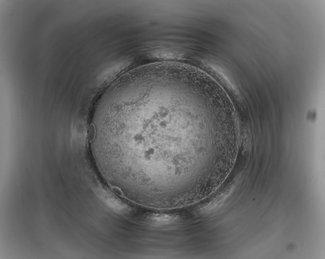 X0000097880453200803141323