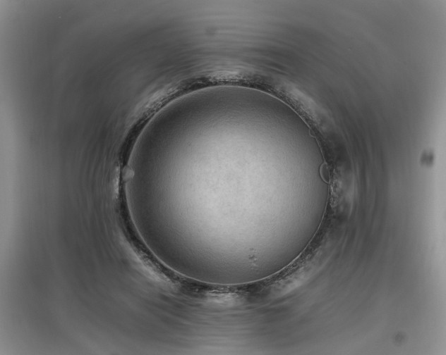 X0000097880454200803141323