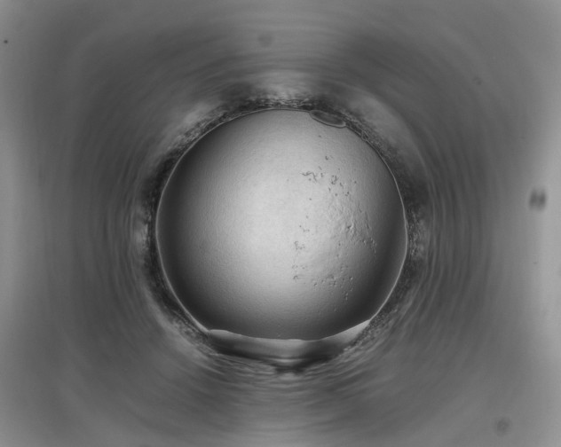 X0000097880456200803141323