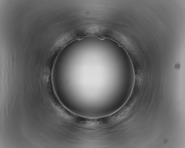X0000097880458200803141323