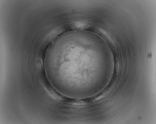 X0000097880459200803141323