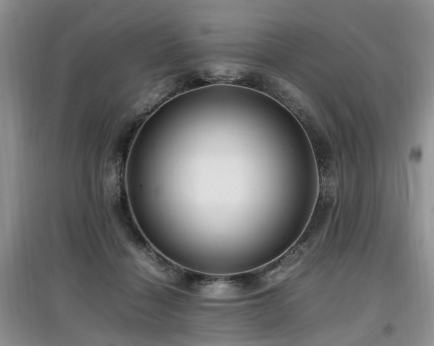 X0000097880460200803141323