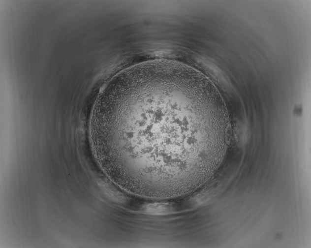 X0000097880461200803141323
