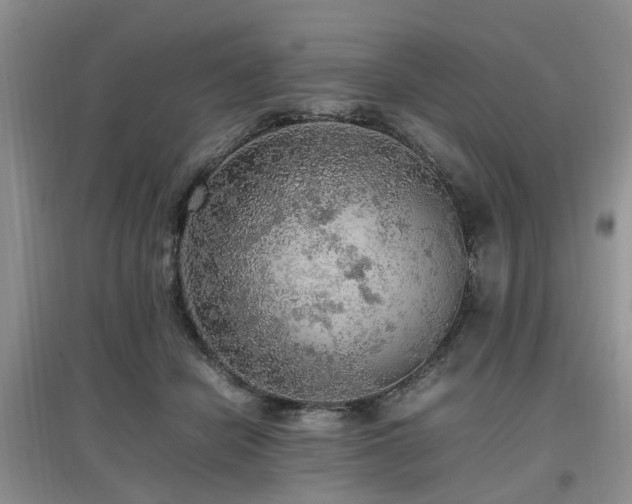 X0000097880462200803141323