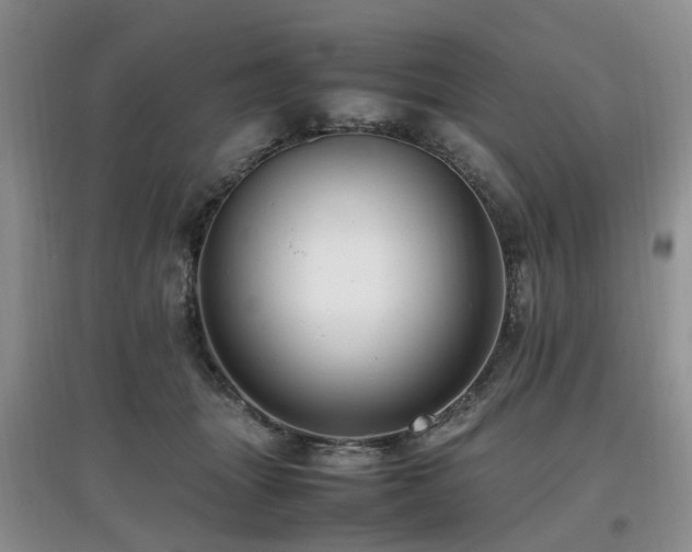 X0000097880463200803141323